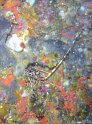 DSC05145 - Langouste~